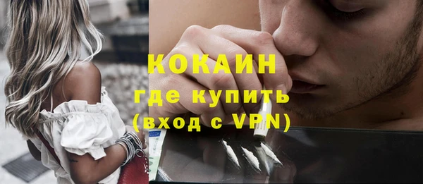 винт Алзамай