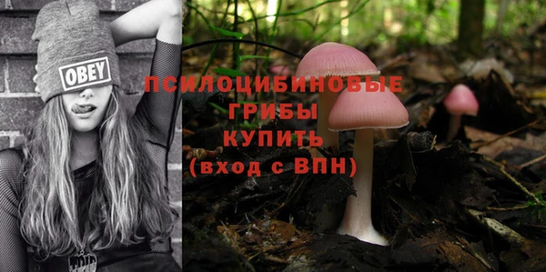стаф Алексеевка