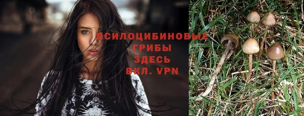 винт Алзамай