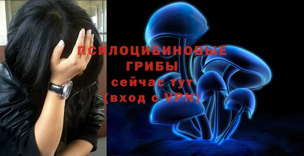 стаф Алексеевка